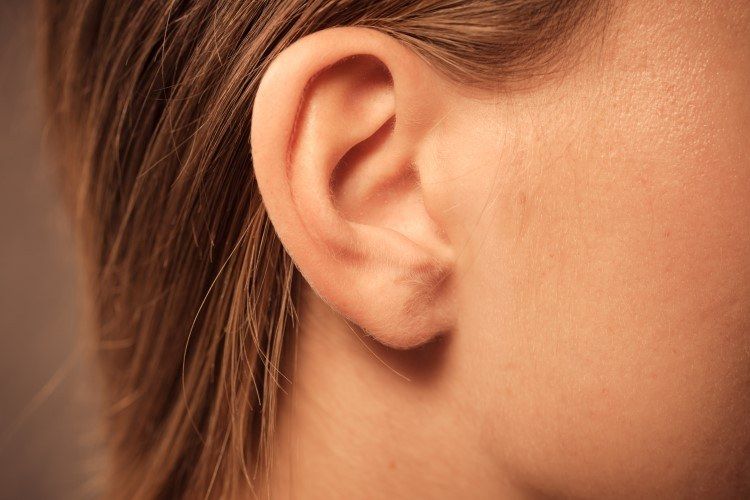 شكل الاذن بعد عملية تصغير الاذن