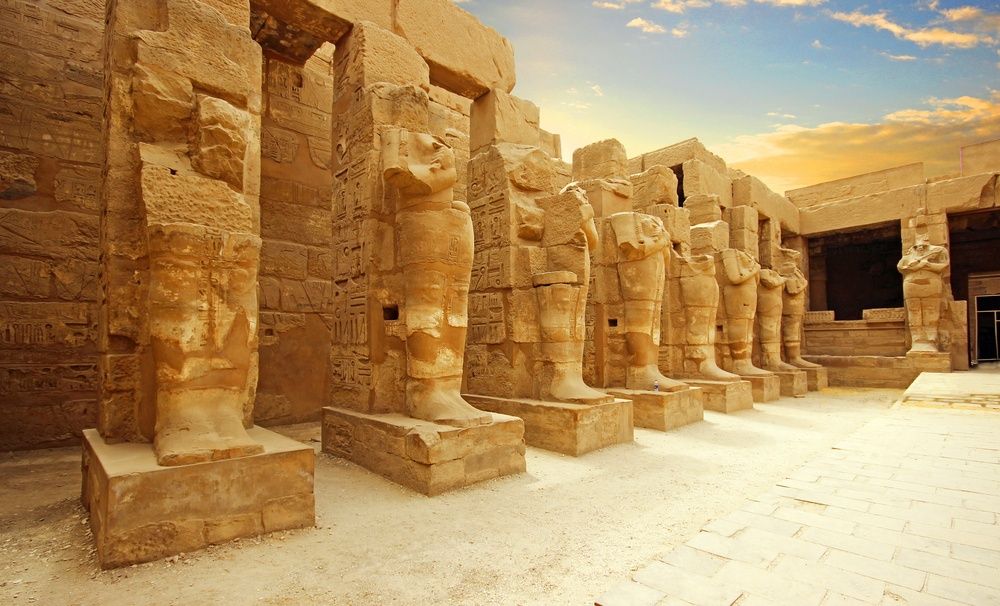 جهاز فيلا شيب في مصر