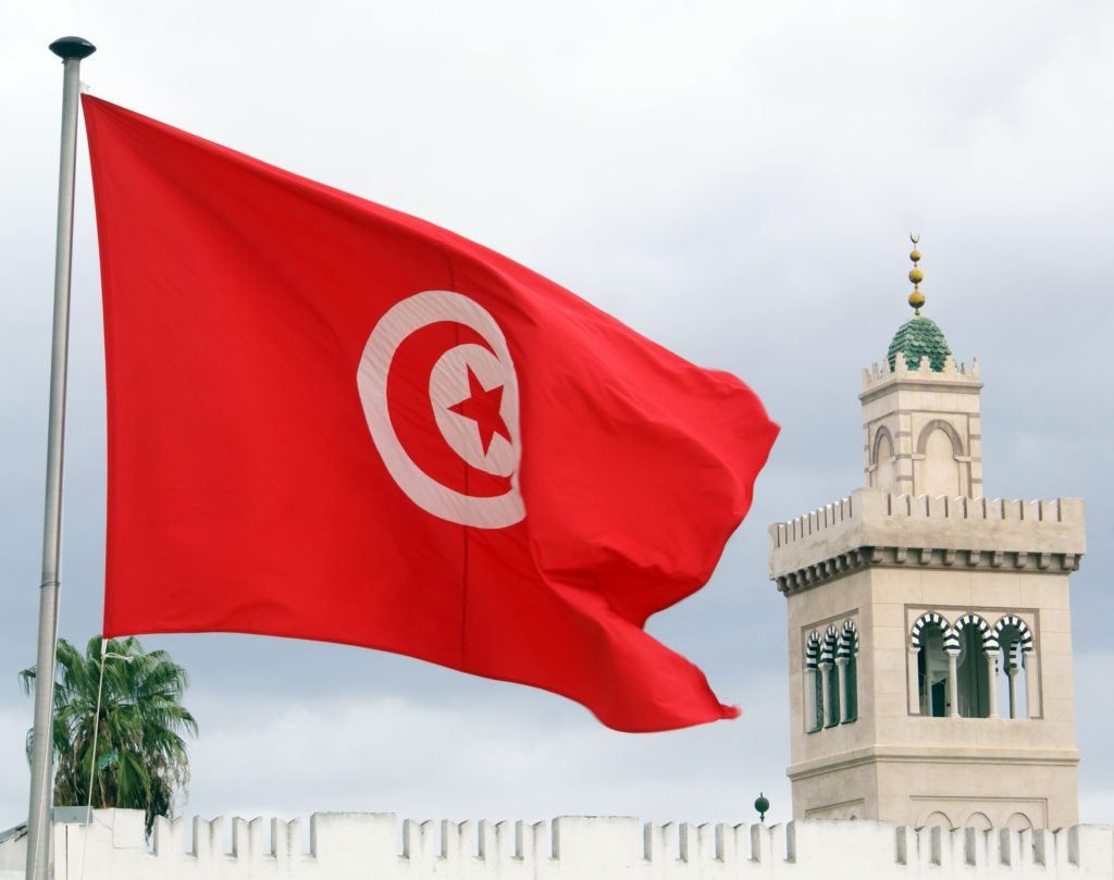 زراعة الحواجب في تونس