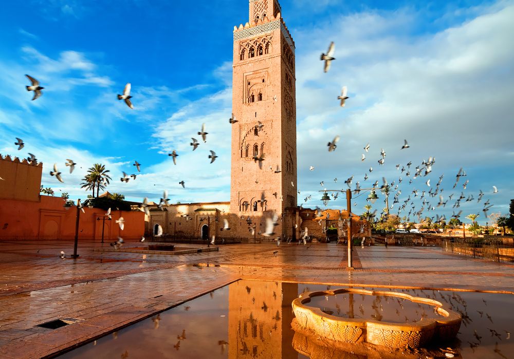 شد الخدود في المغرب