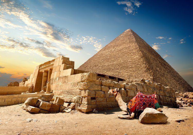تصغير الخدود في مصر