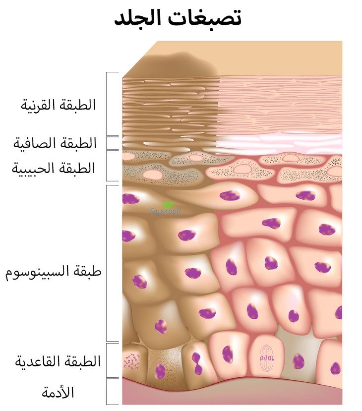 علاج تصبغات الجلد بإبر الجلوتاثيون