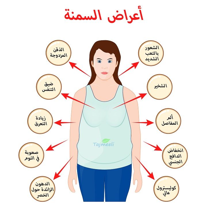 المخاطر الصحية جراء تكون الدهون بمنطقة البطن والأرداف وأعراض السمنة